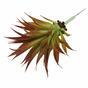 Umělá rostlina Agave červené 18 cm