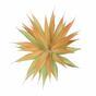 Umělá rostlina Agave oranžové 18 cm