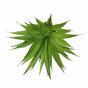 Umělá rostlina Agave zelené 18 cm