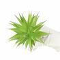 Umělá rostlina Agave zelené 18 cm