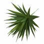 Umělá rostlina Agave zelené 20 cm