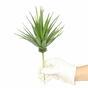 Umělá rostlina Agave zelené 20 cm