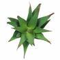 Umělá rostlina Aloe 13,5 cm