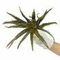 Umělá rostlina Aloe 27 cm