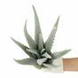 Umělá rostlina Aloe 45 cm