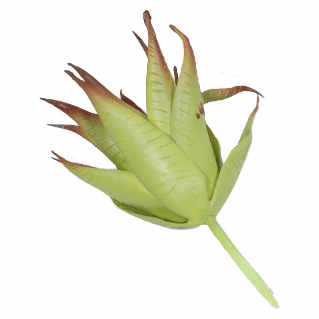 Umělá rostlina Aloe červená 13,5 cm