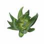 Umělá rostlina Aloe Vera 15 cm