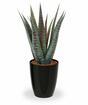 Umělá rostlina Aloe Vera 30 cm