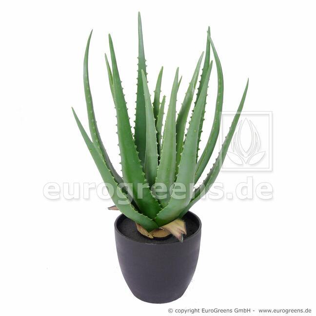 Umělá rostlina Aloe Vera 45 cm