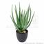 Umělá rostlina Aloe Vera 45 cm
