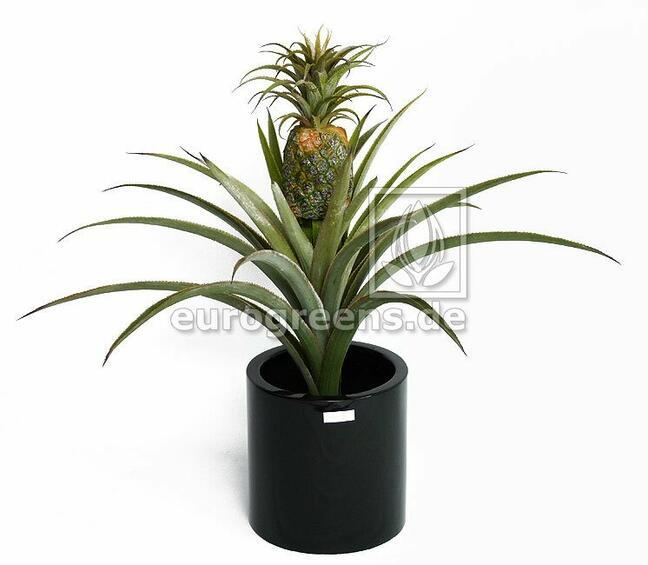 Umělá rostlina Ananas 75 cm