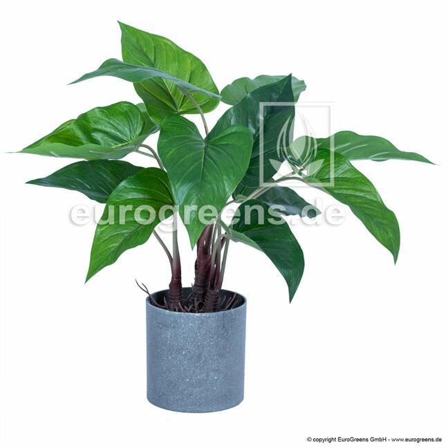 Umělá rostlina Anthurium 40 cm