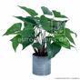 Umělá rostlina Anthurium 45 cm