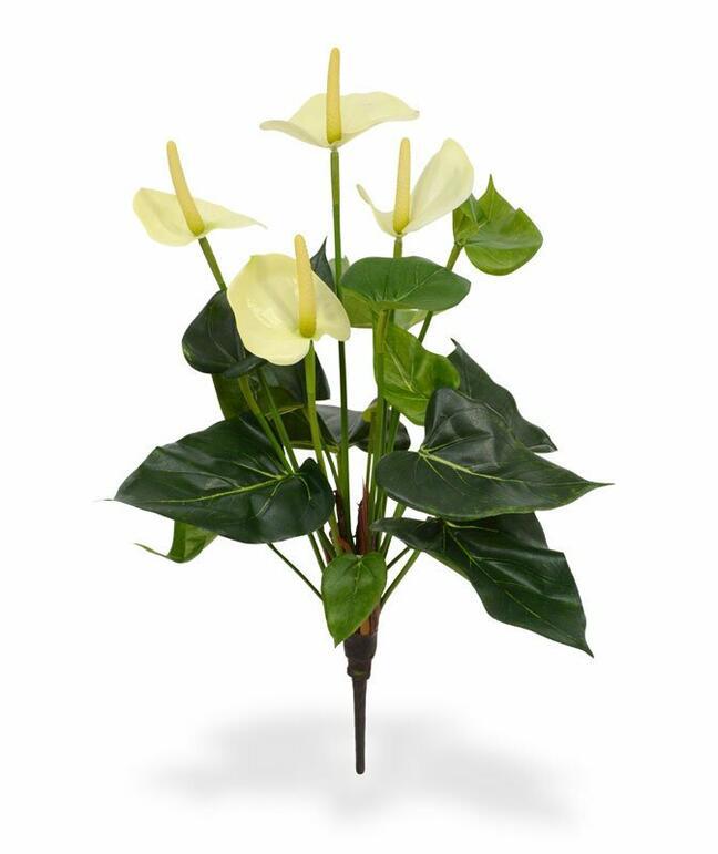 Umělá rostlina Anthurium bílá 40 cm