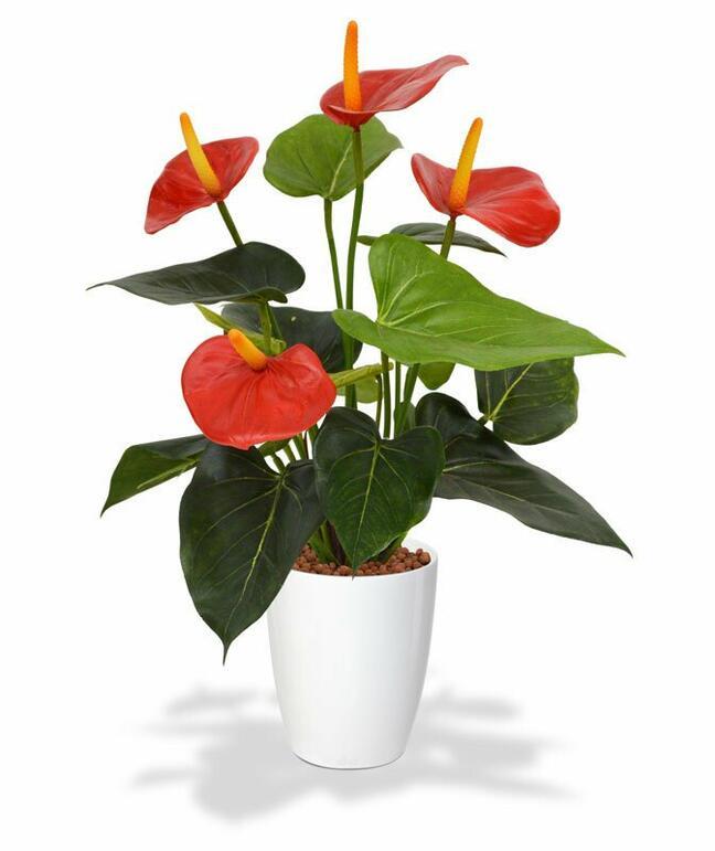 Umělá rostlina Anthurium červená 40 cm