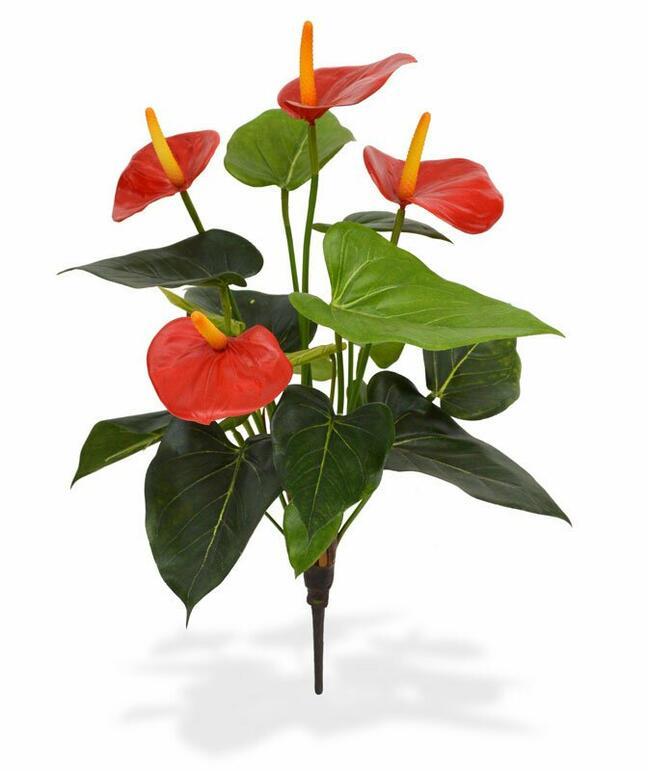 Umělá rostlina Anthurium červená 40 cm