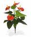 Umělá rostlina Anthurium červená 40 cm
