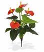 Umělá rostlina Anthurium červená 40 cm