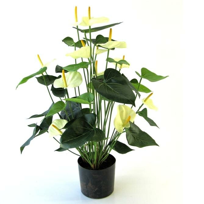 Umělá rostlina Anthurium krémová 80 cm