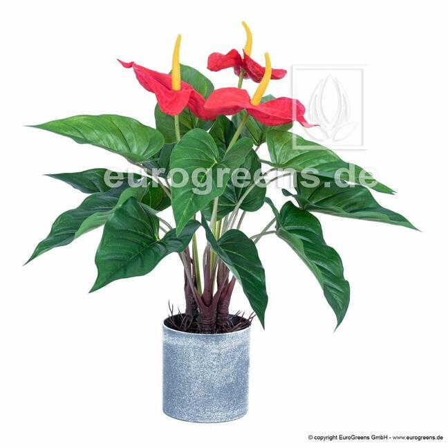 Umělá rostlina Anthurium kvetoucí 45 cm