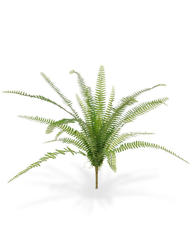 Umělá rostlina Sleziník - Asplenium 75 cm