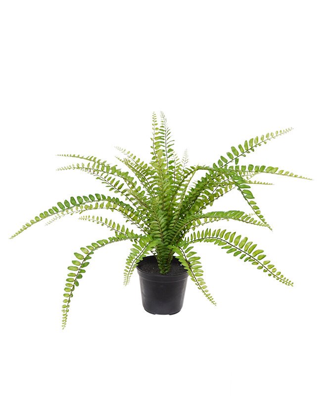 Umělá rostlina Asplenium v květináči 45 cm