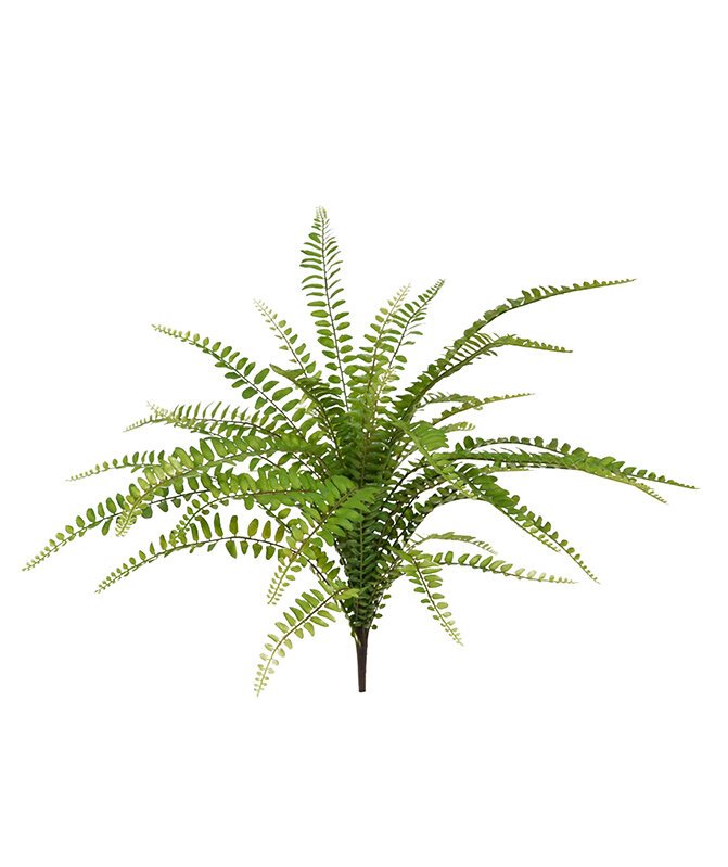 Umělá rostlina Asplenium Fern 45 cm