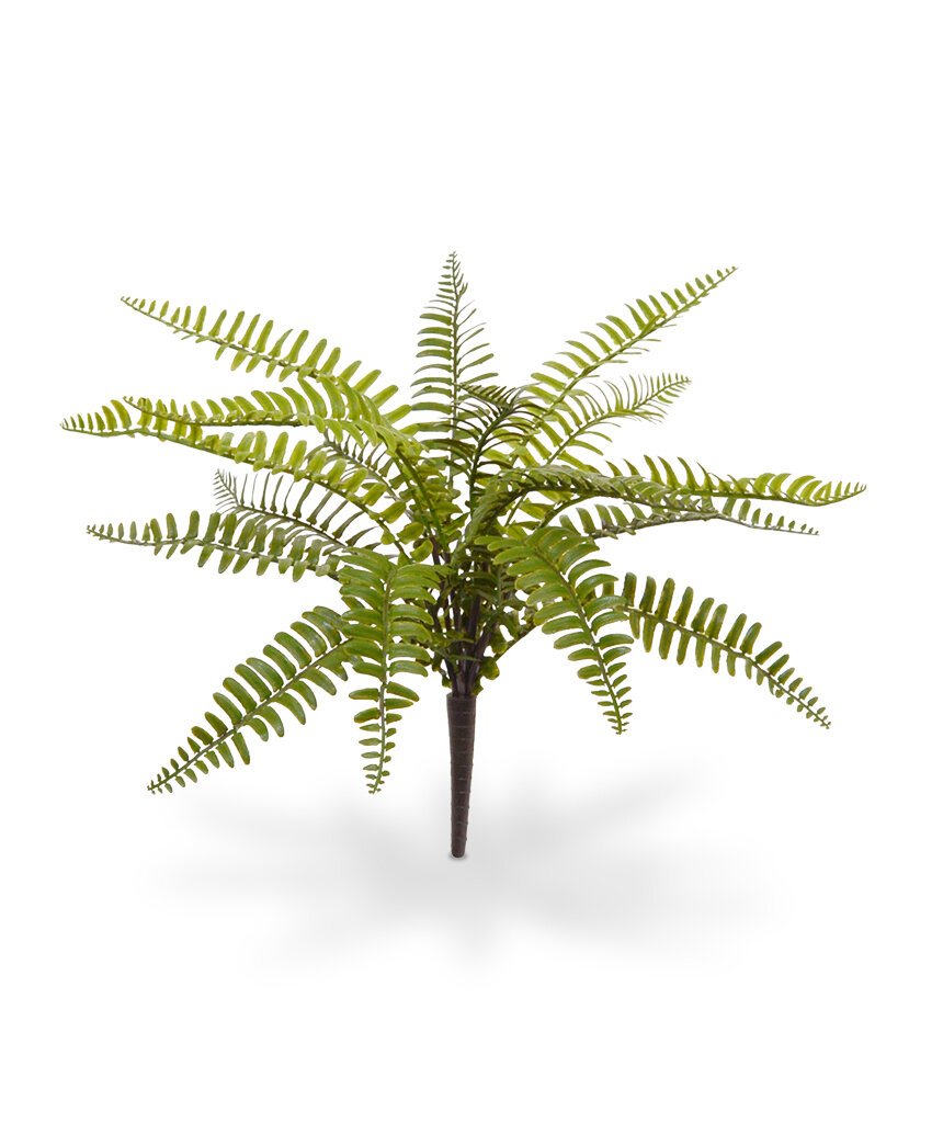 Umělá rostlina Asplenium 35 cm