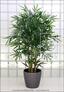 Umělá rostlina Bambus 270 cm