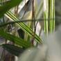 Umělá rostlina Bambus 70 cm