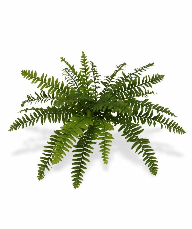 Umělá rostlina Bostonská kapradina 40 cm