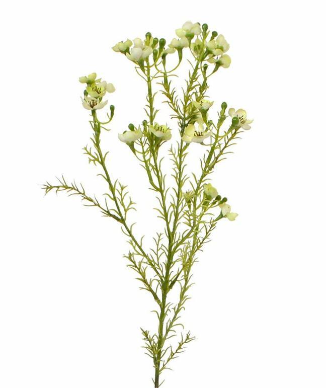 Umělá rostlina Chamelaucium uncinatum 65 cm