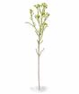 Umělá rostlina Chamelaucium uncinatum 65 cm