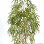 Umělá rostlina Čínský Bambus 150 cm