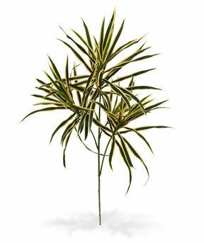 Umělá rostlina Dracena 80 cm