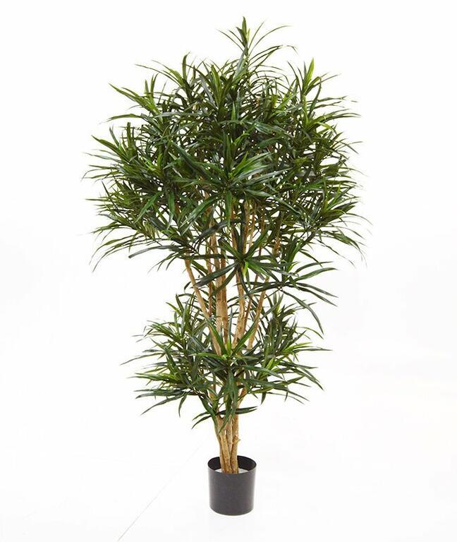 Umělá rostlina Dracena Reflex 160 cm