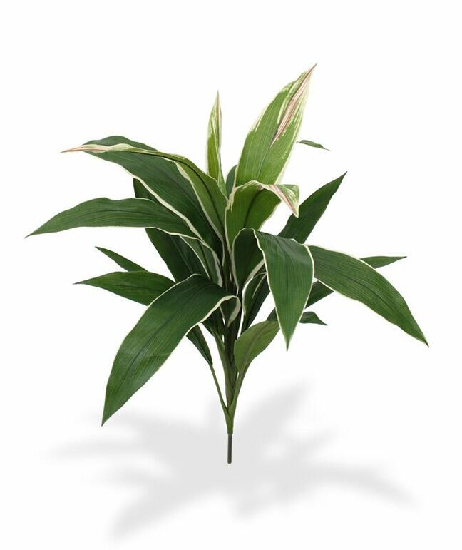 Umělá rostlina Dracena voňavá 60 cm