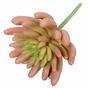 Umělá rostlina Echeveria růžová 11 cm