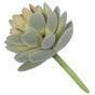 Umělá rostlina Echeveria sametová 9,5 cm