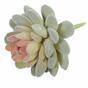 Umělá rostlina Echeveria sametová 9,5 cm