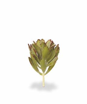 Umělá rostlina Eševéria 15 cm