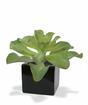 Umělá rostlina Eševéria 20 cm
