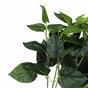 Umělá rostlina Filodendron 45 cm