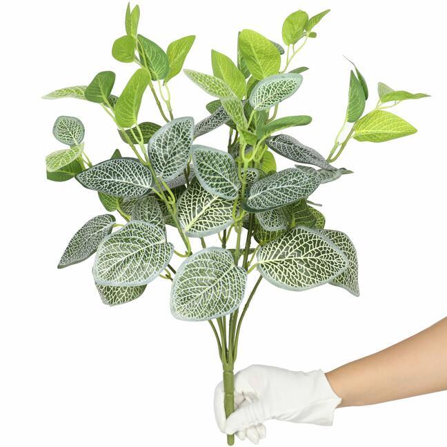 Umělá rostlina fitónie bílá 45 cm