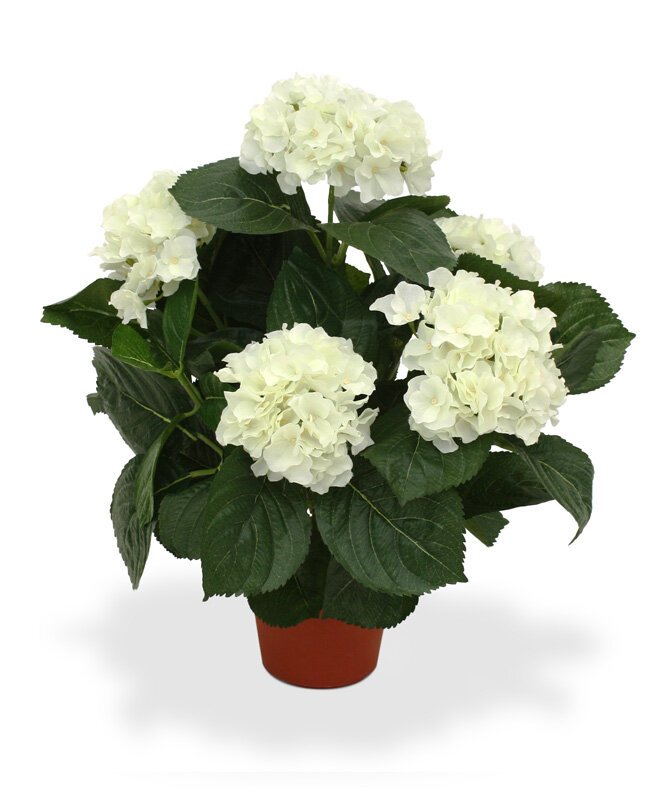 Umělá krémová Hortenzie 45 cm