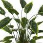 Umělá rostlina Hosta 50 cm