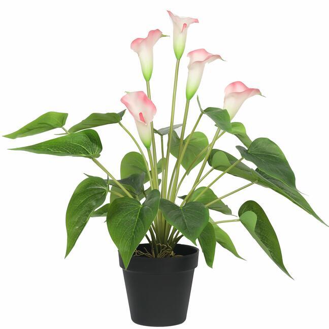 Umělá rostlina Kala bílorůžová 50 cm