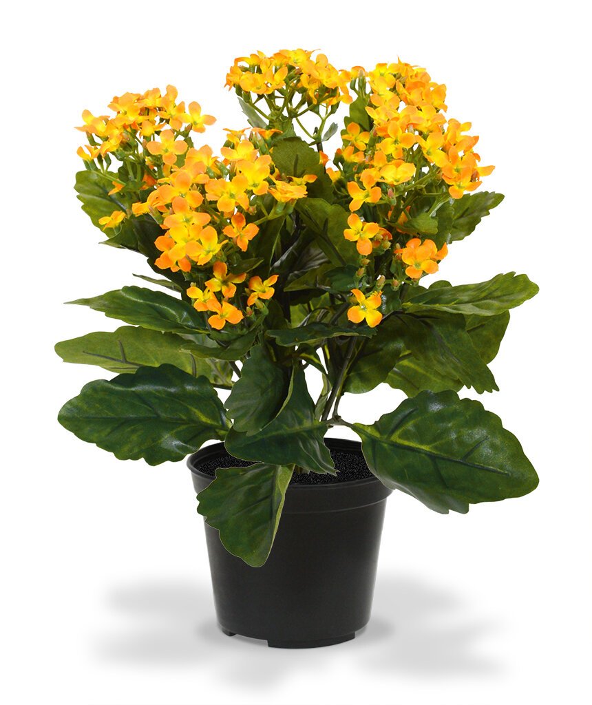 Umělá rostlina Kalanchoe 30 cm oranžová