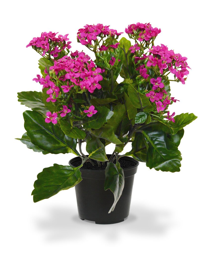 Umělá rostlina Kalanchoe 30 cm v květináči - fialová