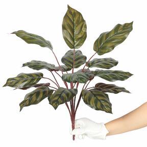 Umělá rostlina Kalatea 50 cm